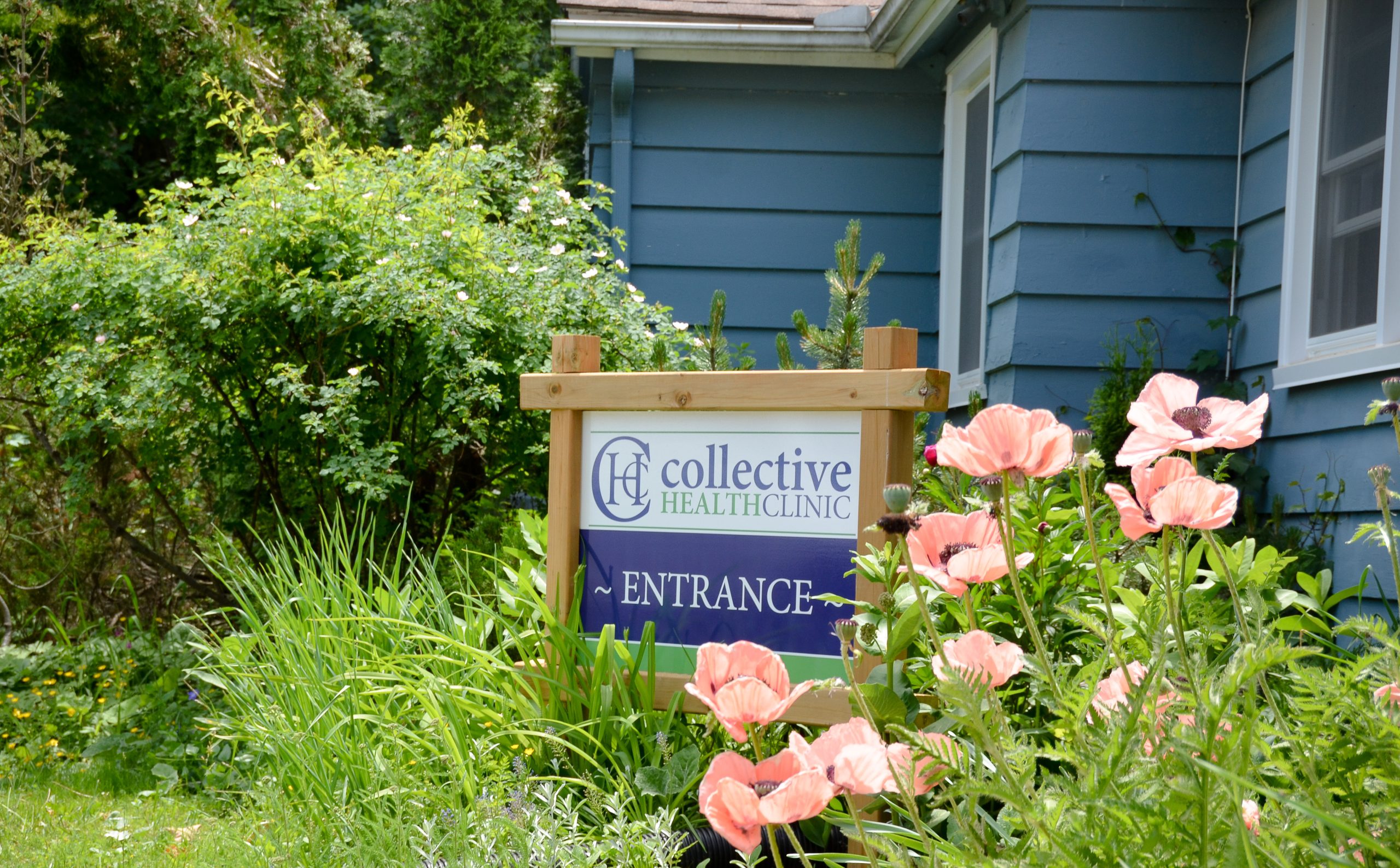 Photo of a garden, with pale pink ornamental poppies outside of a blue building. In the middle of the garden there is a wooden sign that says Collective Health Clinic Entrance.